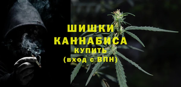 спайс Бородино