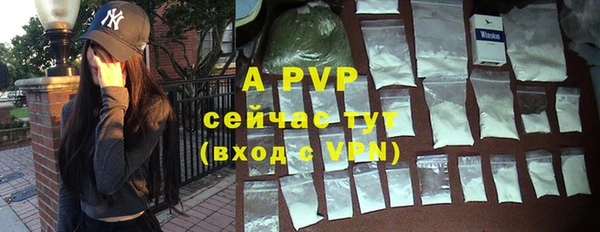 спайс Бородино