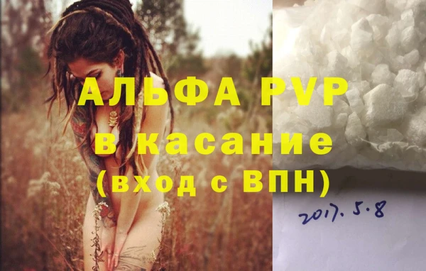 спайс Бородино