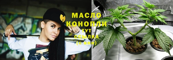 спайс Бородино