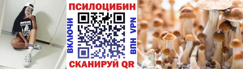 Галлюциногенные грибы Magic Shrooms  Новороссийск 